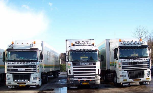 Foto De Wit Transport